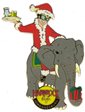 Johannesburg - Santa Clause Riding Gray Elephant